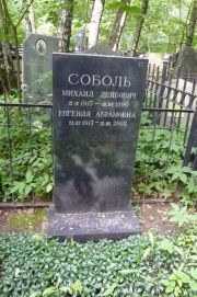 Соболь Михаил Лейбович, Москва, Востряковское кладбище